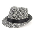 Striped Plaid Trilby Hat