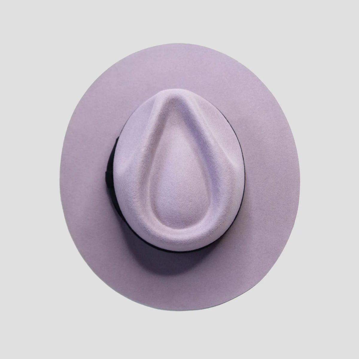 Eerguson Fedora - Lavender+Black
